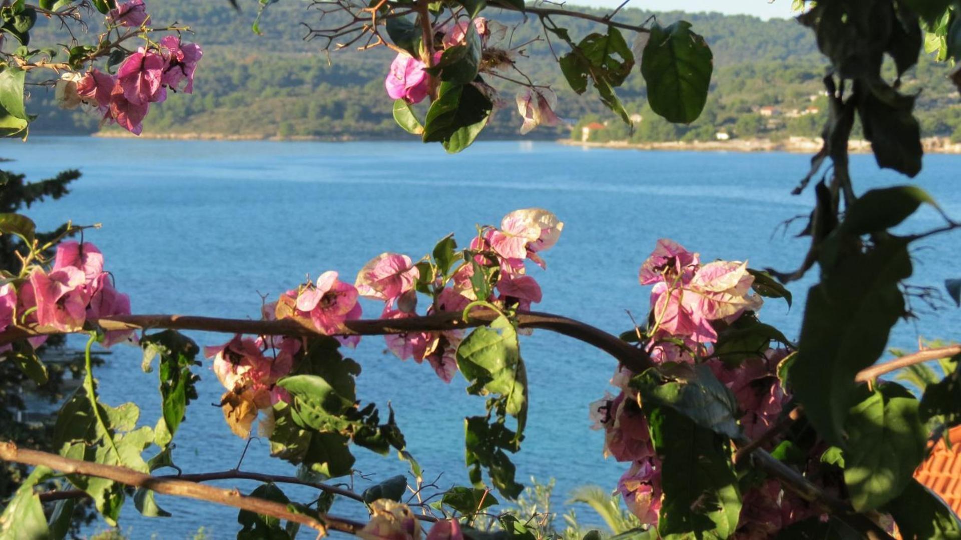 Apartments Janja - Terrace Sea View Necujam Luaran gambar
