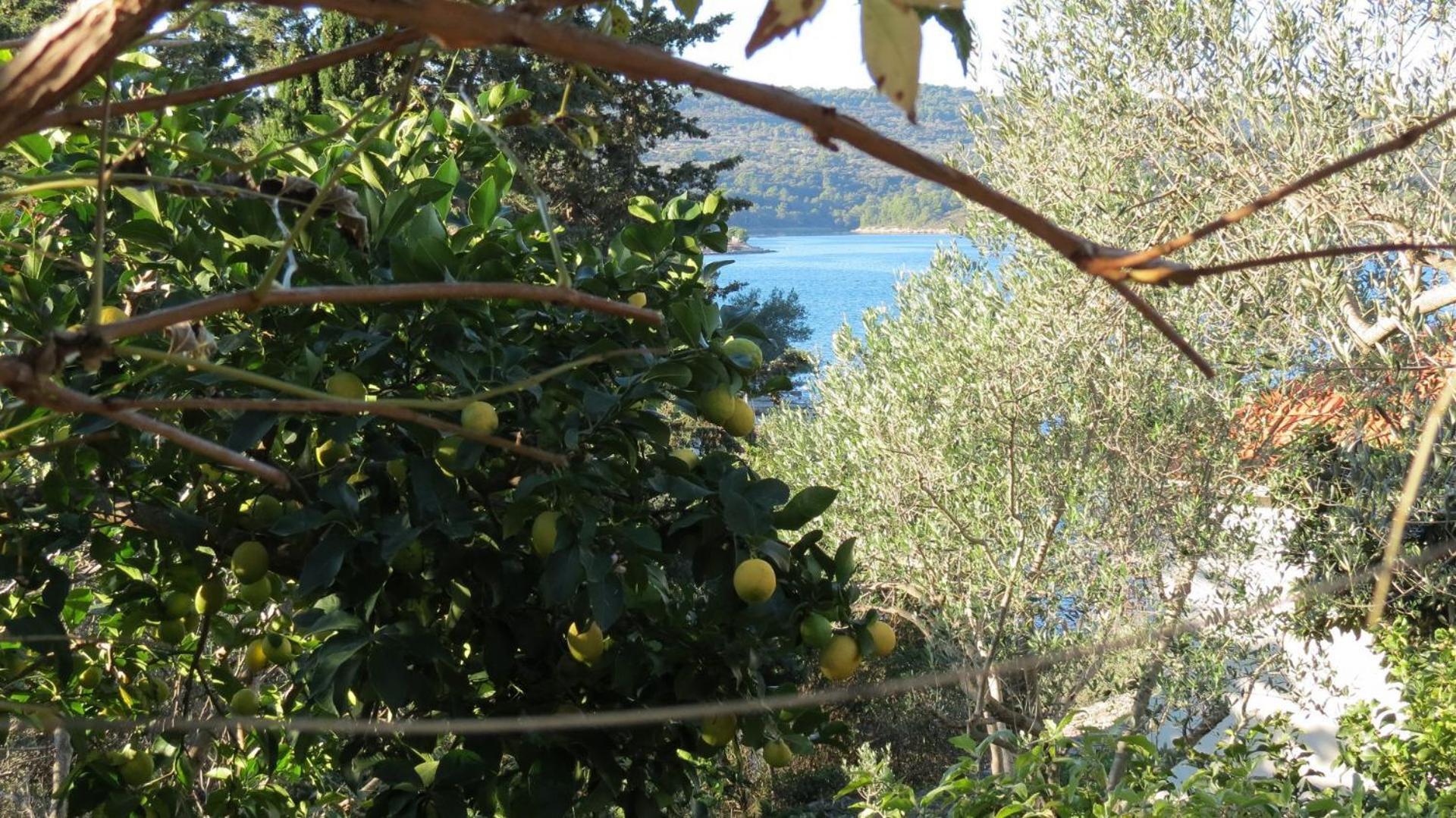 Apartments Janja - Terrace Sea View Necujam Luaran gambar